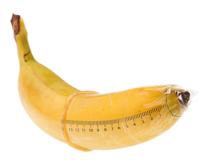 The optimum size for an erection is 10-16 cm