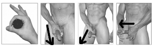exercises to enlarge the penis stretching